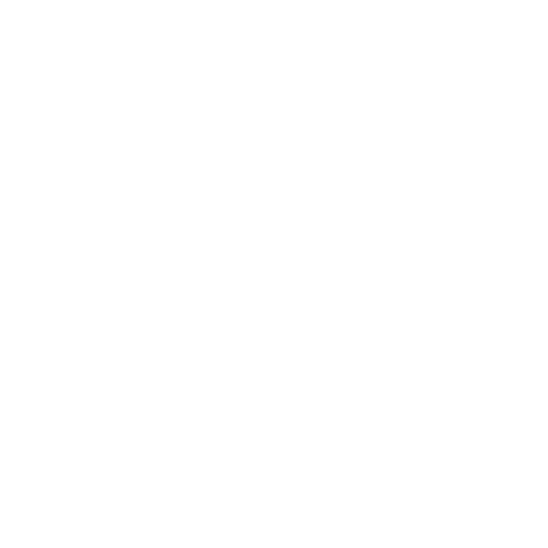 SOLE SILVER